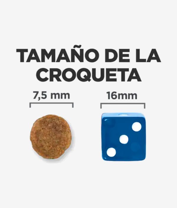 Tamaño de la croqueta en el pienso digestivo para perros de Hill's