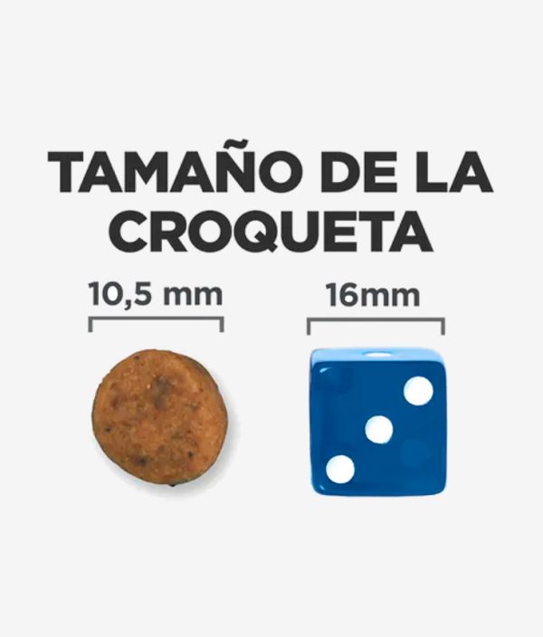 Tamaño de la croqueta en el pienso digestivo para perros de Hill's