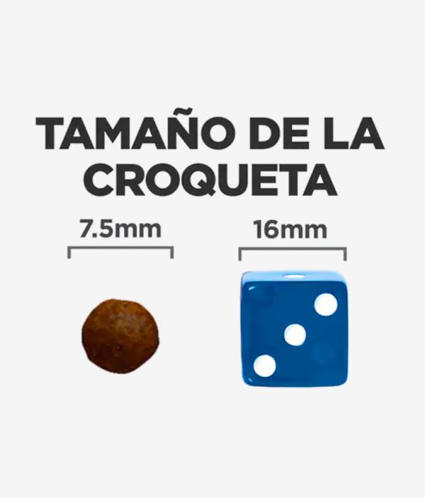 Tamaño de la croqueta en el pienso digestivo para perros de Hill's