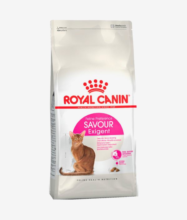 Pienso seco para gatos marca Royal Canin