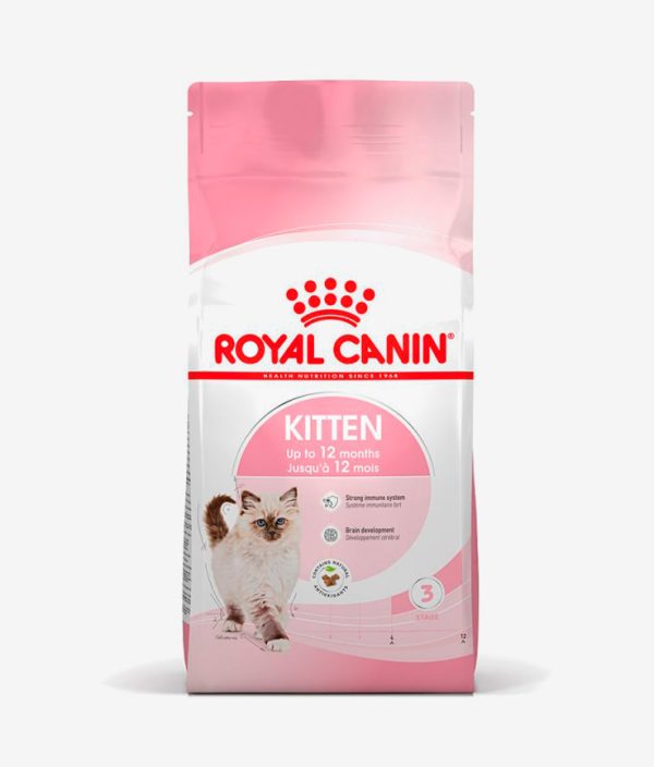 Pienso seco para gatos marca Royal Canin