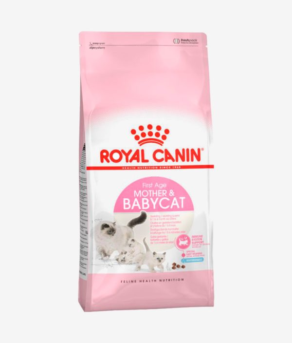 Pienso seco para gatos marca Royal Canin