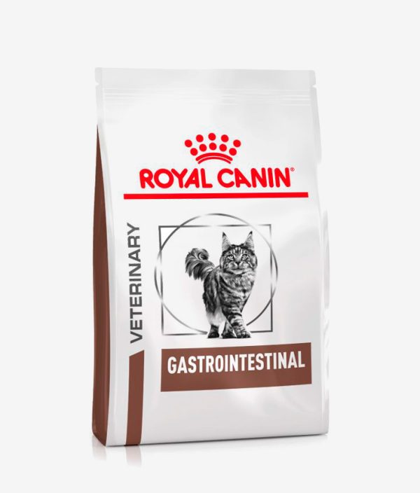 Pienso seco para gatos marca Royal Canin