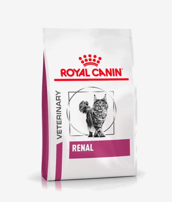 Pienso seco para gatos marca Royal Canin