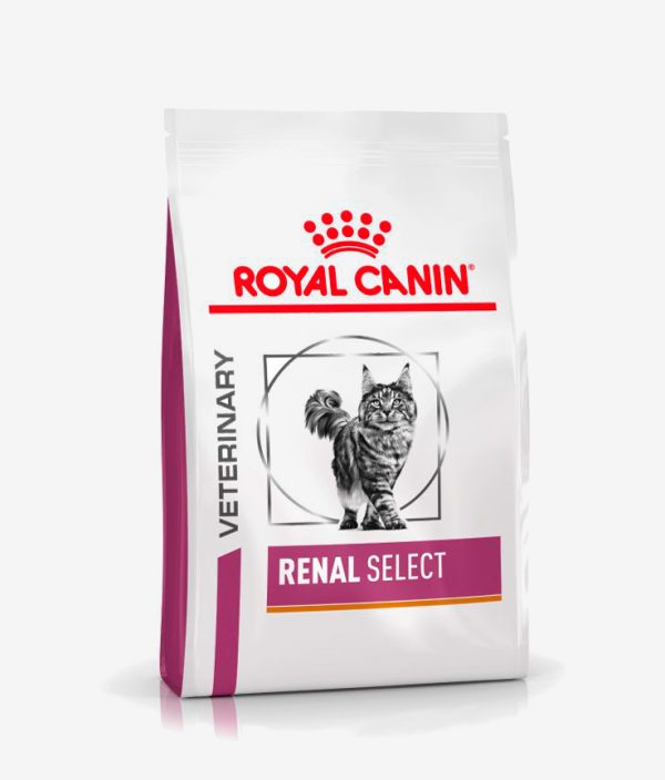 Pienso seco para gatos marca Royal Canin