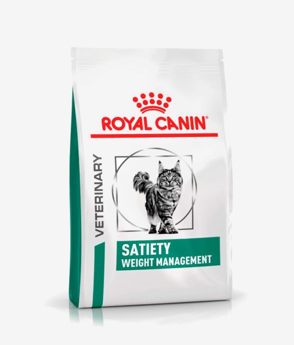 Pienso seco para gatos marca Royal Canin