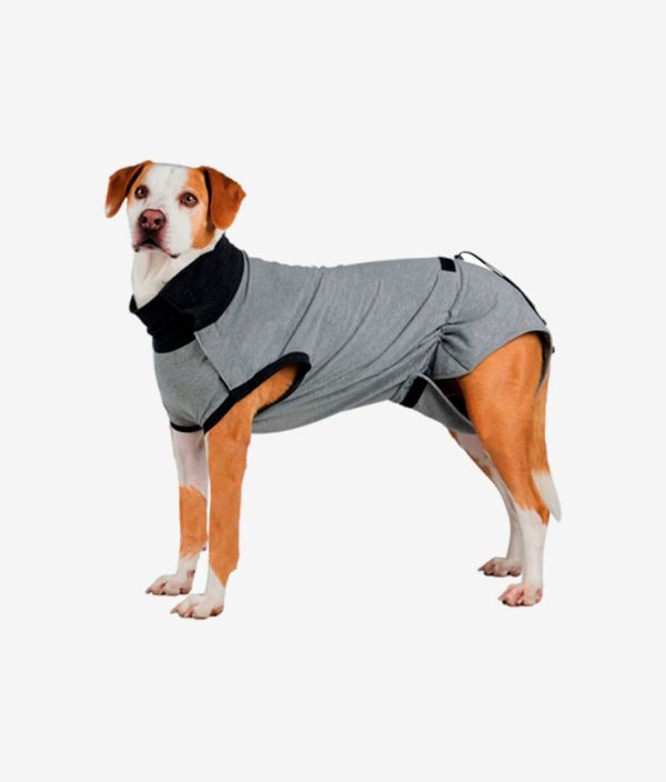 Body protector para perros marca Trixie