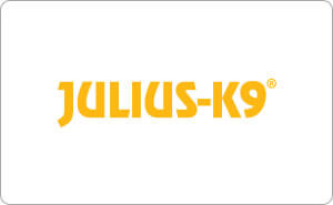 Logo Julius